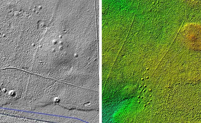 LiDAR images reveal mysterious structures rising above the flat forest floor