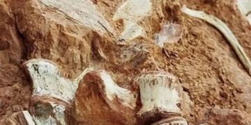 historic flood in brazil inflation of dinosaur mass extinction over 200 million years 135661