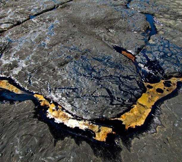 The asphalt in Pitch Lake is so thick that you can easily walk on its surface.