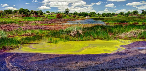 Pitch Lake, though lacking in water, is desired by every country.