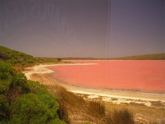 The pink lake phenomenon intrigues many