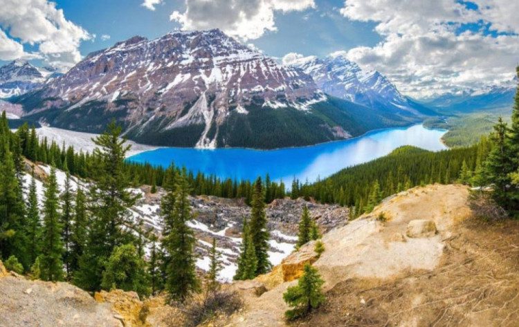 Peyto Lake