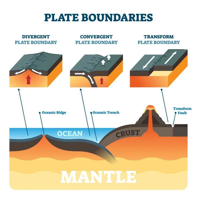 In plate tectonics, there are three types of plate boundaries: Divergent, Convergent, and Transform.