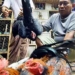 indonesia additional people infected with bird flu died 2613