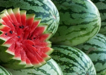 keep watermelon fresh and delicious for six months without preservation 74889