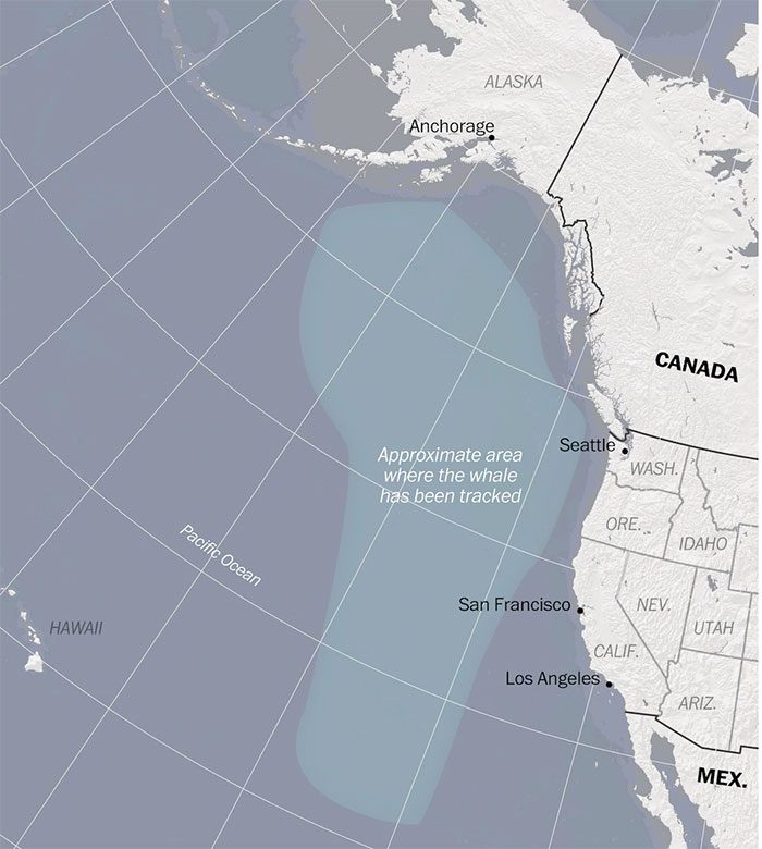 The area where 52 Blue was discovered by oceanographers in the 1990s.