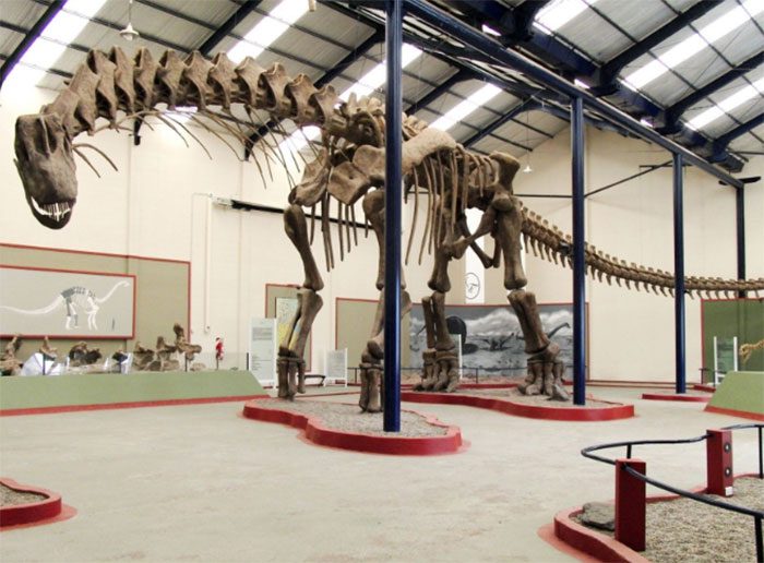 Reconstruction of Argentinosaurus at the Carmen Funes City Museum, Argentina