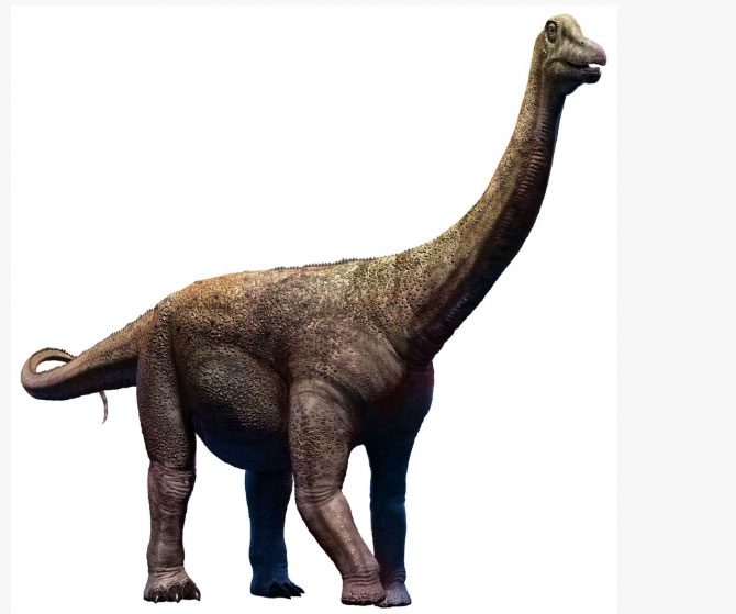 Saltasaurus