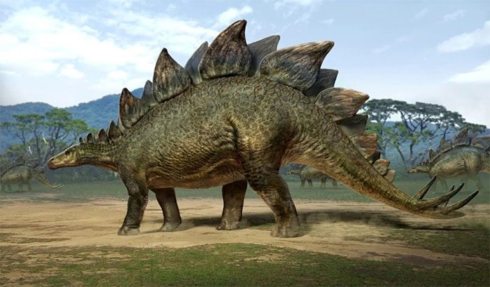 Illustration of the Stegosaurus dinosaur.