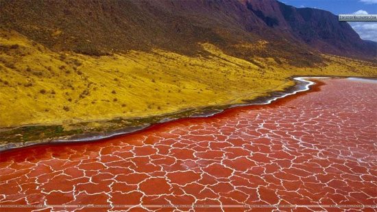 Explaining the reason for the blood-red color of the lake