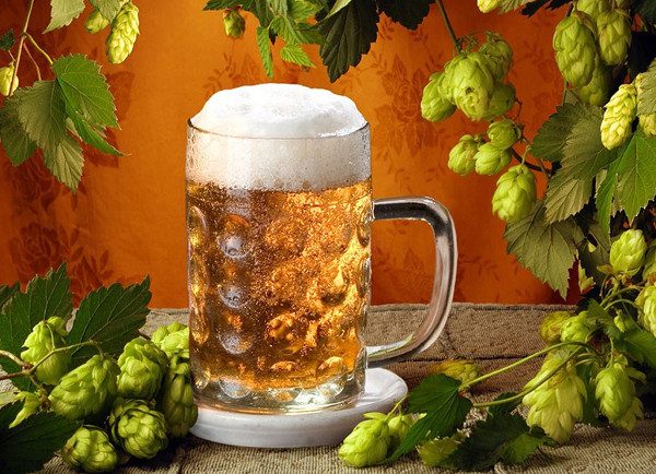 Discover the History of Beer