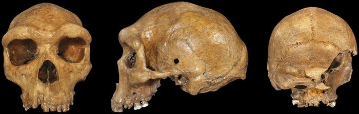 This skull is at least several thousand years old.