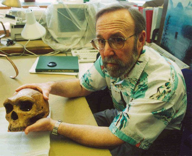 This prehistoric skull is currently displayed at the Paleontological Museum in Moscow.