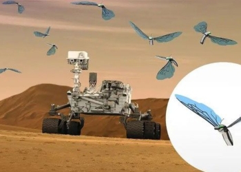 marsbees robot bee scouts smaller than the original conquer mars 135602