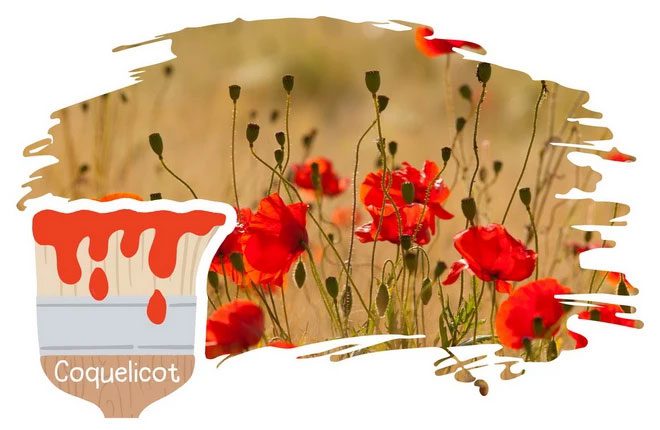 Coquelicot – Poppy Red