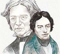 michael faraday bird freedom 2534