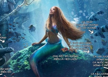 movie poster mermaid criticized for basic scientific knowledge errors 126441