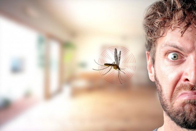 Female mosquitoes are attracted to men with fewer bacteria on their skin compared to those with more bacteria