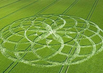 mysterious circles on the field 23967