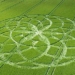 mysterious circles on the field 23967