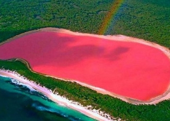 mystery of the pink lake in australia 49540