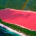 mystery of the pink lake in australia 49540