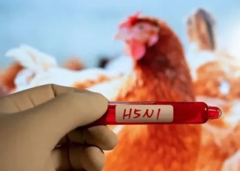 new discovery of a substance that transmits h5n1 flu virus to humans 135551