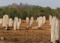 new graveyard not large in australia 51609