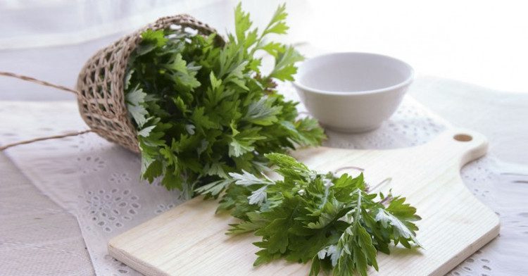 Wormwood is also used by many women for beauty purposes.