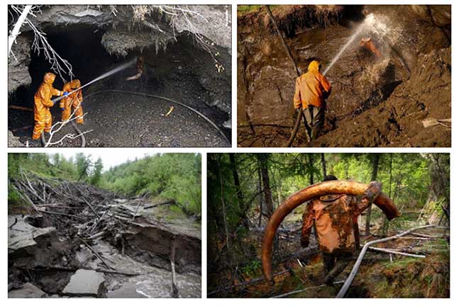 Sometimes, to expand the excavation area, they may use water guns to create tunnels.