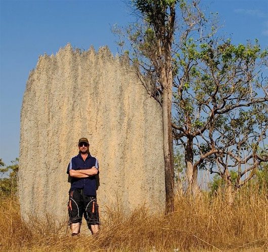 Giant Termite Graveyard in Australia