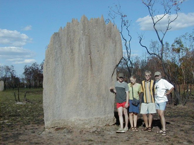 Giant Termite Graveyard in Australia