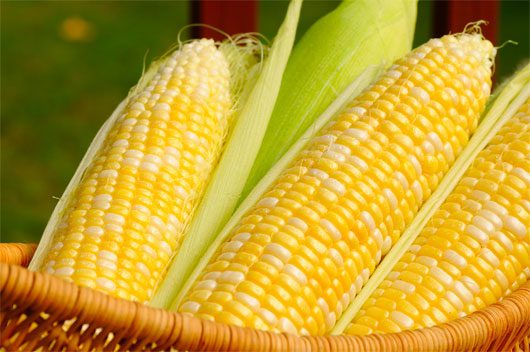 Reasons to Eat Corn for Health