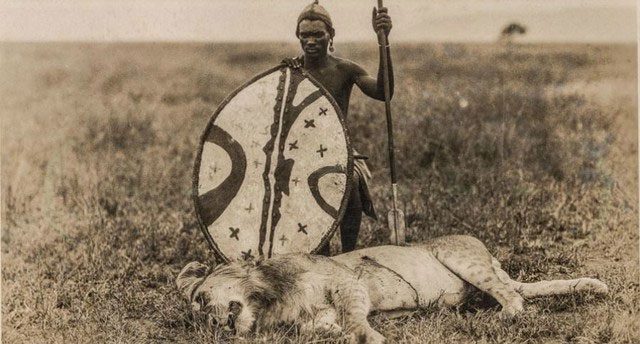 In fact, the Maasai have a special relationship with animals, especially lions.