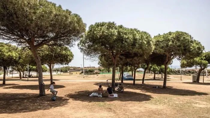 People at Poblenou Park in Barcelona.