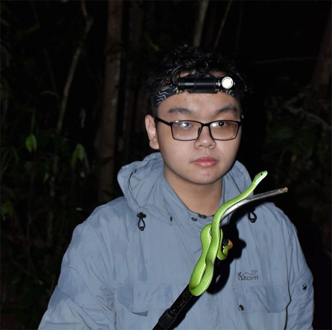 Mr. Nguyen Chi Lam with a pink-eyed green snake