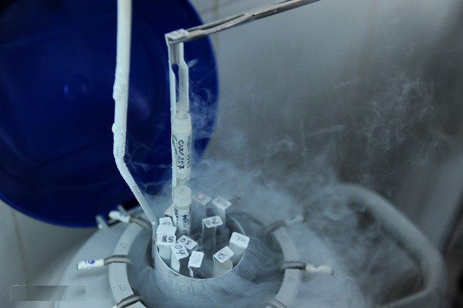 Liquid nitrogen is used to freeze sperm, characterized by its extreme cold and smokiness.