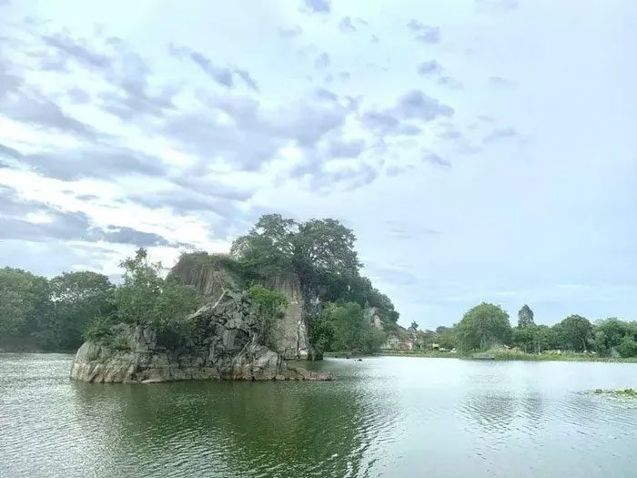 The rare snake-headed bird population nests on the rock mountain in the lake, avoiding natural predators as well as humans.