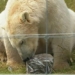 park in england for northern hemisphere dogs to eat ice cream to cool off 135878