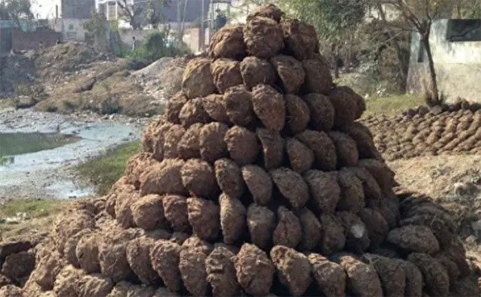 Cow dung cakes also hold special significance in Indian culture and religion.