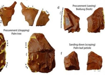 philippines discover 40 000 year old artifact changes human history 128437