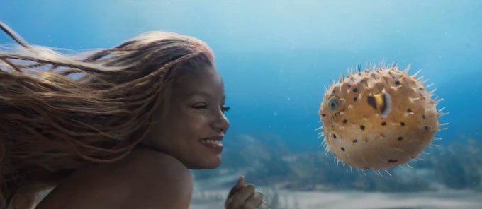 Ariel playing with a pufferfish in the trailer of the film