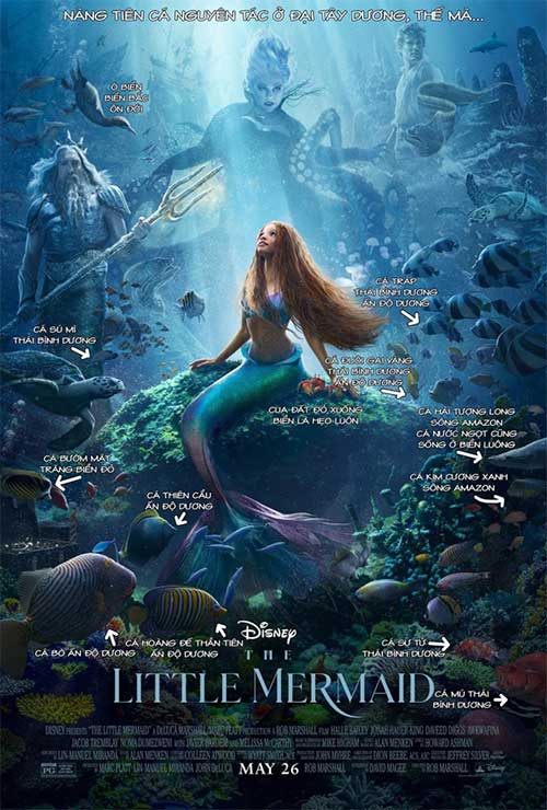 Official poster of The Little Mermaid.