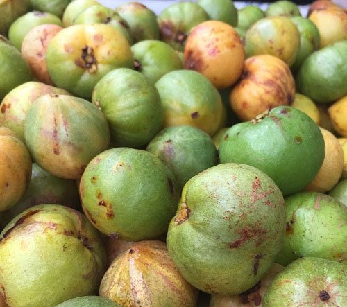 The Bứa fruit has a pleasant aroma, a sour taste, and its skin is green when unripe and yellow when ripe.