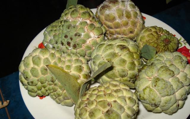 Be careful not to choose custard apples with white scales, dark eyes, or signs of leakage.