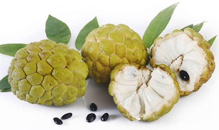 Custard apple