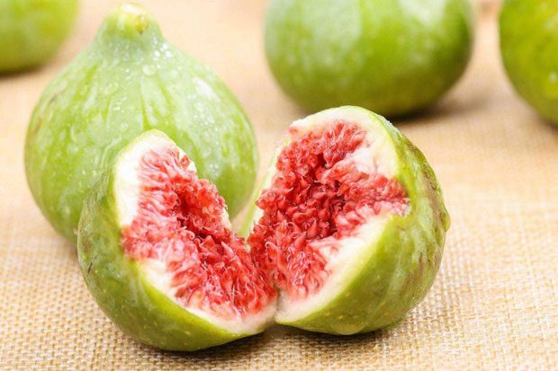 Figs are not only food but also a precious medicine for the lungs