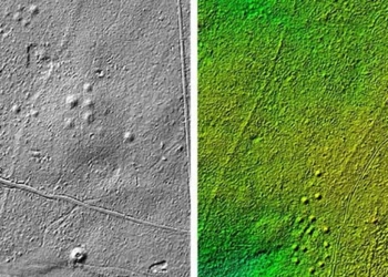 radar scan forest scientists stunned by 1 000 ghosts appearing from every era 123431