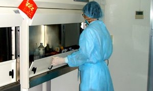 rapid test cannot diagnose h5n1 3324