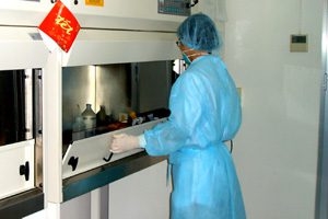 rapid test cannot diagnose h5n1 3324